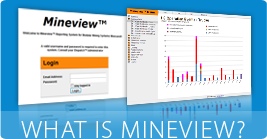 What is Mineview What is Mineview